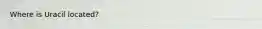 Where is Uracil located?