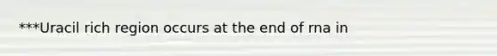 ***Uracil rich region occurs at the end of rna in