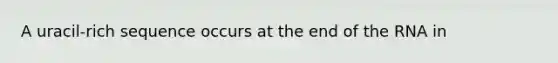 A uracil-rich sequence occurs at the end of the RNA in