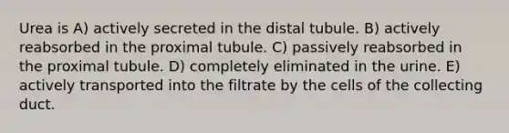 Urea is A) actively secreted in the distal tubule. B) actively reabsorbed in the proximal tubule. C) passively reabsorbed in the proximal tubule. D) completely eliminated in the urine. E) actively transported into the filtrate by the cells of the collecting duct.