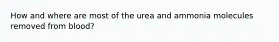 How and where are most of the urea and ammonia molecules removed from blood?