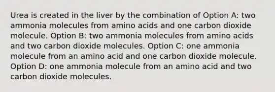 Urea is created in the liver by the combination of Option A: two ammonia molecules from amino acids and one carbon dioxide molecule. Option B: two ammonia molecules from amino acids and two carbon dioxide molecules. Option C: one ammonia molecule from an amino acid and one carbon dioxide molecule. Option D: one ammonia molecule from an amino acid and two carbon dioxide molecules.