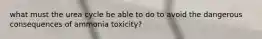 what must the urea cycle be able to do to avoid the dangerous consequences of ammonia toxicity?