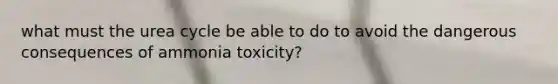 what must the urea cycle be able to do to avoid the dangerous consequences of ammonia toxicity?