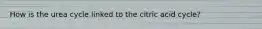 How is the urea cycle linked to the citric acid cycle?