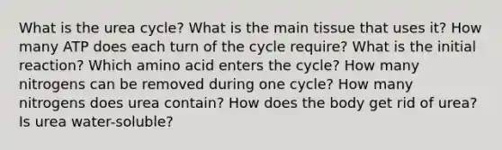 What is the urea cycle? What is the main tissue that uses it? How many ATP does each turn of the cycle require? What is the initial reaction? Which amino acid enters the cycle? How many nitrogens can be removed during one cycle? How many nitrogens does urea contain? How does the body get rid of urea? Is urea water-soluble?