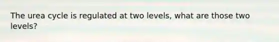 The urea cycle is regulated at two levels, what are those two levels?