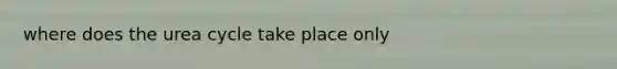 where does the urea cycle take place only