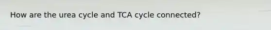 How are the urea cycle and TCA cycle connected?