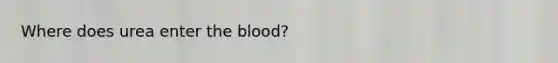 Where does urea enter <a href='https://www.questionai.com/knowledge/k7oXMfj7lk-the-blood' class='anchor-knowledge'>the blood</a>?