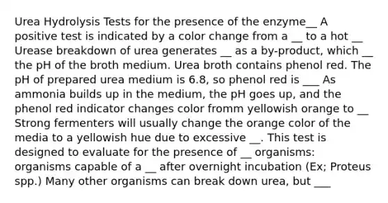 Urea Hydrolysis Tests for the presence of the enzyme__ A positive test is indicated by a color change from a __ to a hot __ Urease breakdown of urea generates __ as a by-product, which __ the pH of the broth medium. Urea broth contains phenol red. The pH of prepared urea medium is 6.8, so phenol red is ___ As ammonia builds up in the medium, the pH goes up, and the phenol red indicator changes color fromm yellowish orange to __ Strong fermenters will usually change the orange color of the media to a yellowish hue due to excessive __. This test is designed to evaluate for the presence of __ organisms: organisms capable of a __ after overnight incubation (Ex; Proteus spp.) Many other organisms can break down urea, but ___