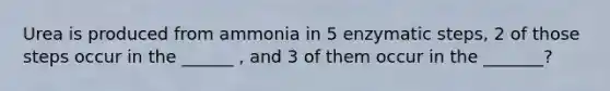 Urea is produced from ammonia in 5 enzymatic steps, 2 of those steps occur in the ______ , and 3 of them occur in the _______?