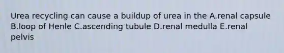 Urea recycling can cause a buildup of urea in the A.renal capsule B.loop of Henle C.ascending tubule D.renal medulla E.renal pelvis