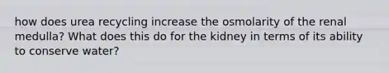 how does urea recycling increase the osmolarity of the renal medulla? What does this do for the kidney in terms of its ability to conserve water?