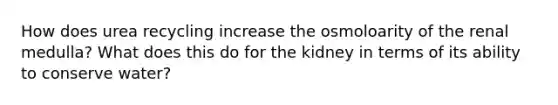 How does urea recycling increase the osmoloarity of the renal medulla? What does this do for the kidney in terms of its ability to conserve water?