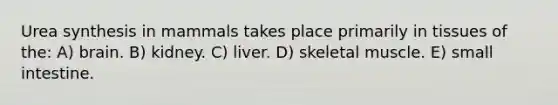 Urea synthesis in mammals takes place primarily in tissues of the: A) brain. B) kidney. C) liver. D) skeletal muscle. E) small intestine.