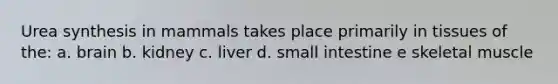 Urea synthesis in mammals takes place primarily in tissues of the: a. brain b. kidney c. liver d. small intestine e skeletal muscle