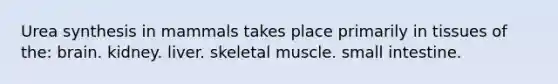 Urea synthesis in mammals takes place primarily in tissues of the: brain. kidney. liver. skeletal muscle. small intestine.