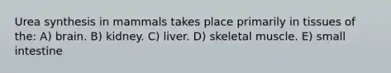 Urea synthesis in mammals takes place primarily in tissues of the: A) brain. B) kidney. C) liver. D) skeletal muscle. E) small intestine