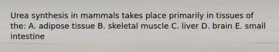 Urea synthesis in mammals takes place primarily in tissues of the: A. adipose tissue B. skeletal muscle C. liver D. brain E. small intestine