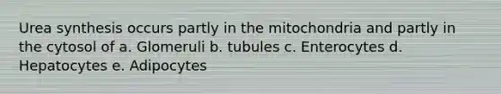 Urea synthesis occurs partly in the mitochondria and partly in the cytosol of a. Glomeruli b. tubules c. Enterocytes d. Hepatocytes e. Adipocytes