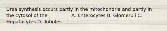 Urea synthesis occurs partly in the mitochondria and partly in the cytosol of the _________ A. Enterocytes B. Glomeruli C. Hepatocytes D. Tubules