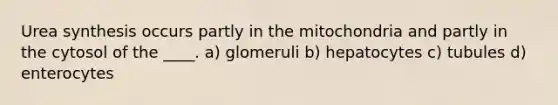 Urea synthesis occurs partly in the mitochondria and partly in the cytosol of the ____.​ ​a) glomeruli ​b) hepatocytes ​c) tubules ​d) enterocytes