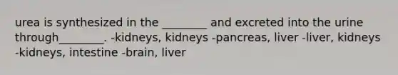 urea is synthesized in the ________ and excreted into the urine through________. -kidneys, kidneys -pancreas, liver -liver, kidneys -kidneys, intestine -brain, liver