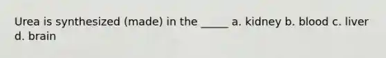 Urea is synthesized (made) in the _____ a. kidney b. blood c. liver d. brain