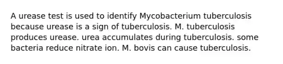 A urease test is used to identify Mycobacterium tuberculosis because urease is a sign of tuberculosis. M. tuberculosis produces urease. urea accumulates during tuberculosis. some bacteria reduce nitrate ion. M. bovis can cause tuberculosis.