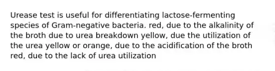 Urease test is useful for differentiating lactose-fermenting species of Gram-negative bacteria. red, due to the alkalinity of the broth due to urea breakdown yellow, due the utilization of the urea yellow or orange, due to the acidification of the broth red, due to the lack of urea utilization