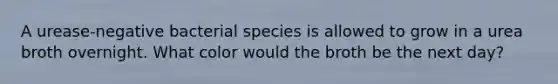 A urease-negative bacterial species is allowed to grow in a urea broth overnight. What color would the broth be the next day?