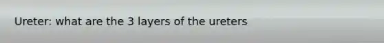 Ureter: what are the 3 layers of the ureters