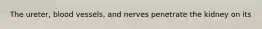 The ureter, blood vessels, and nerves penetrate the kidney on its