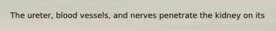 The ureter, blood vessels, and nerves penetrate the kidney on its