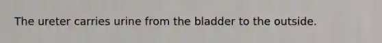 The ureter carries urine from the bladder to the outside.