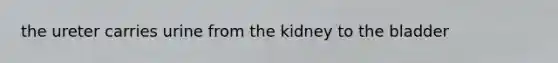 the ureter carries urine from the kidney to the bladder