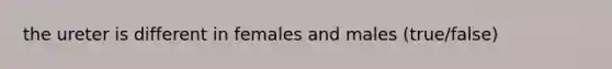 the ureter is different in females and males (true/false)