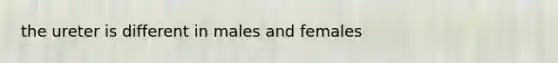 the ureter is different in males and females