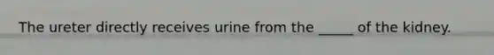 The ureter directly receives urine from the _____ of the kidney.