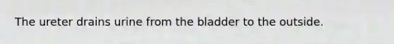 The ureter drains urine from the bladder to the outside.