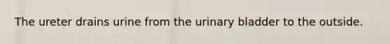 The ureter drains urine from the urinary bladder to the outside.