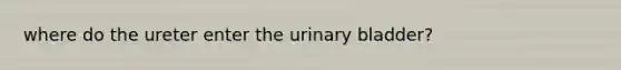 where do the ureter enter the urinary bladder?