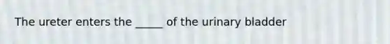 The ureter enters the _____ of the urinary bladder