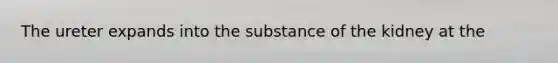 The ureter expands into the substance of the kidney at the