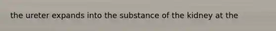 the ureter expands into the substance of the kidney at the