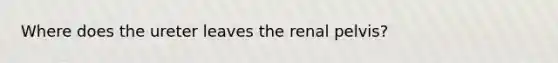 Where does the ureter leaves the renal pelvis?