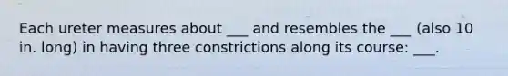 Each ureter measures about ___ and resembles the ___ (also 10 in. long) in having three constrictions along its course: ___.