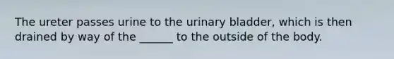 The ureter passes urine to the urinary bladder, which is then drained by way of the ______ to the outside of the body.