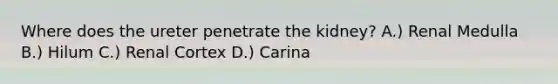 Where does the ureter penetrate the kidney? A.) Renal Medulla B.) Hilum C.) Renal Cortex D.) Carina